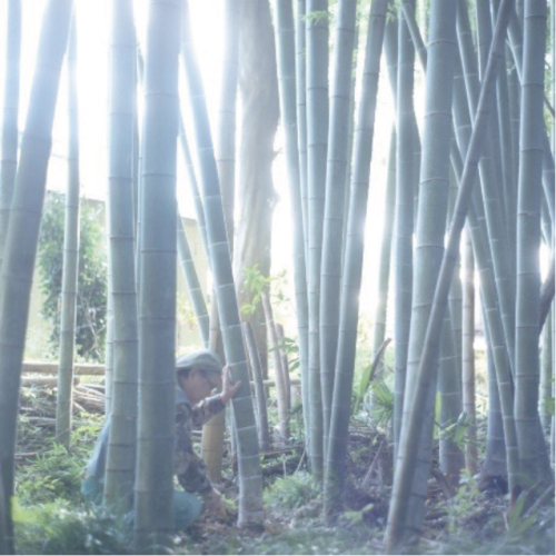 Japanese National Living Treasure Noburu Fujinuma at work
“Noburu Fujinuma, from The Ateliers of Wonders series, 2020”
Rinko Kawauchi©Michelangelo Foundation